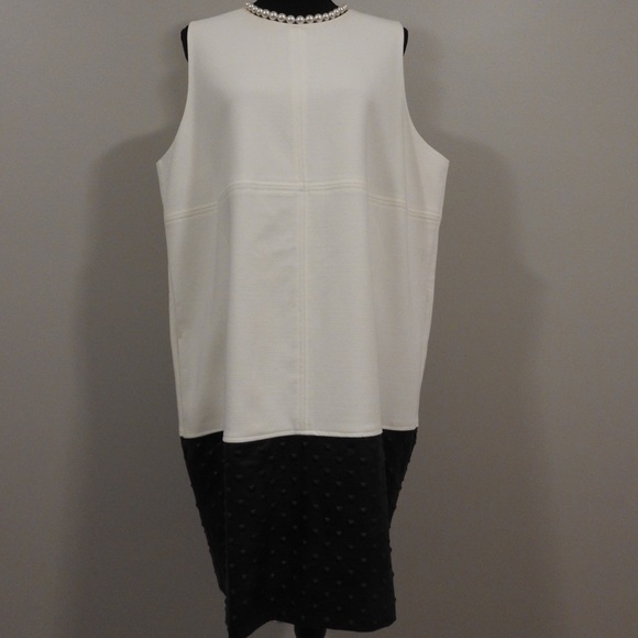 Color Block Shift Dress - Picture 3 of 6